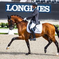 Mantovani's Nuelo das Lezirias