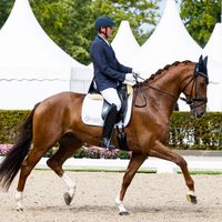 Quberon Van Het Beukenhof