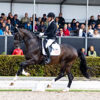 BOEGEGAARDENS SANTIAGO BERNABEU