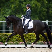 APACHI VD BIEBOSSCHEN