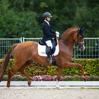 Hexagon's Luxuriouzz N.O.P.T.