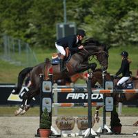 Carpe Diem van de Geeneinde Z