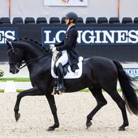 Drosa Fürst Kennedy OLD