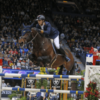 Forever D'Arco Ter Linden