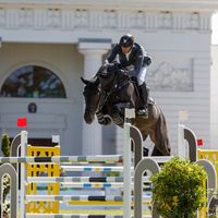 Curcuma Il Palazzetto