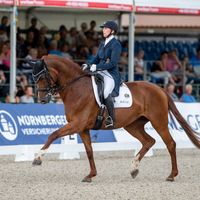 Birkhof's Don Röschen FBW