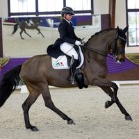 Sisters Act OLD vom Rosencarree