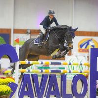 Dominetra van Maarle Z