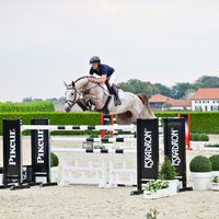 Hastkullens Fantazie