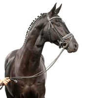 Hengst von Sir Donnerhall I x Don Schufro