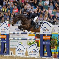 Quidams Star Melloni