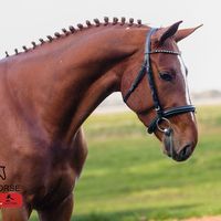 Esmeraldo de Is Morus Z