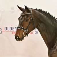 Concrete Diamond MKR