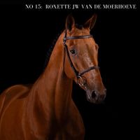 Roxette Jw - van de Moerhoeve