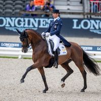 WELL DONE DE LA ROCHE