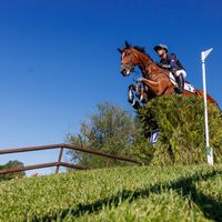 Dame Decoeur Tardonne