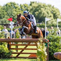 GOOD SIZE DES QUATRE CHENES