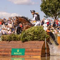 Equistros Siena Just Do It