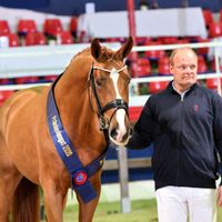 Gut Wettlkam's Bowmore OLD