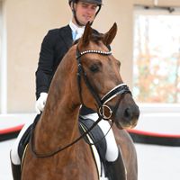 Gut Wettlkam's Feliciano DSP