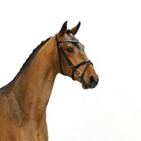 Chacandro Breaker PS