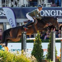 Precious Dwerse Hagen