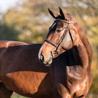 RUSTY VAN HET LELIEHOF