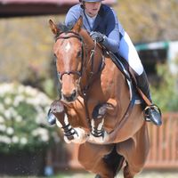 Gainsbourg Evolution