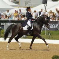 Birkhof's Don Diamond FBW