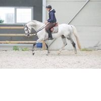 DANTEE VAN DE MOSKIFARM