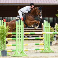 Aladdin van het Waterschoot