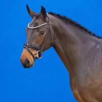 Creativ von der Söhr