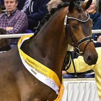 Faszination de Malleret