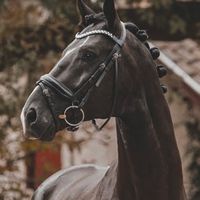 Esperanzo Malleret PS