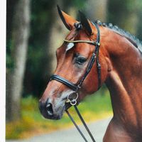 Fänomen de Malleret