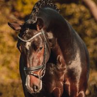 First Moon de Malleret