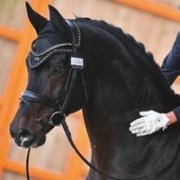 Stolzenberg de Malleret