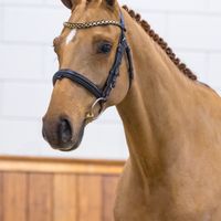 VDL Midnight Express