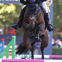 Rebel Du Coeur D Collines