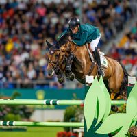 Böckmanns Lord Pezi