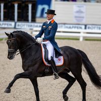 Glock's Zonik N.O.P.