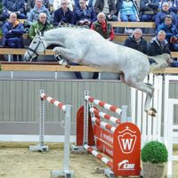 Agalord Kcx Berghoeve