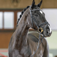 Dree Bökens Florentin