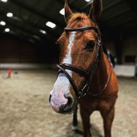 Katrinelund Cabalight