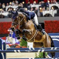 Gamin Van't Naastveldhof