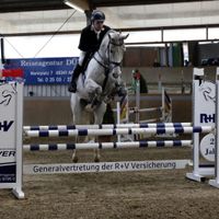 Silver Creek's Validation Juni