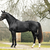 SET THE WORLD ON FIRE GJ