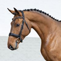 Choco Blue de Melodie Z