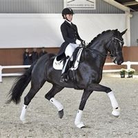 Best Of Mount St.john OLD