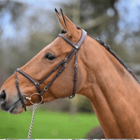 Gotcha de Baerenrain